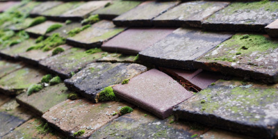 Pibwrlwyd roof repair costs